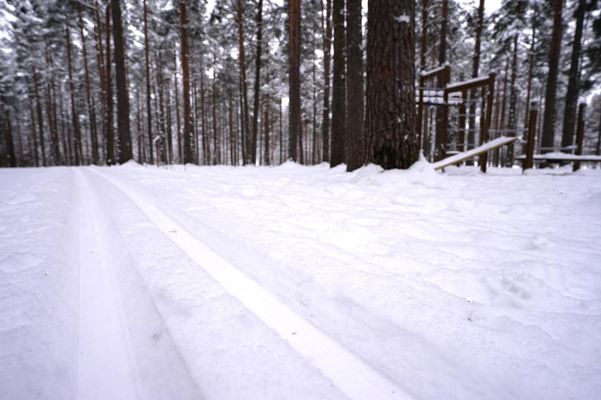 Home Aurora - Loft-Sauna-Wifi Rovaniemi Exterior photo
